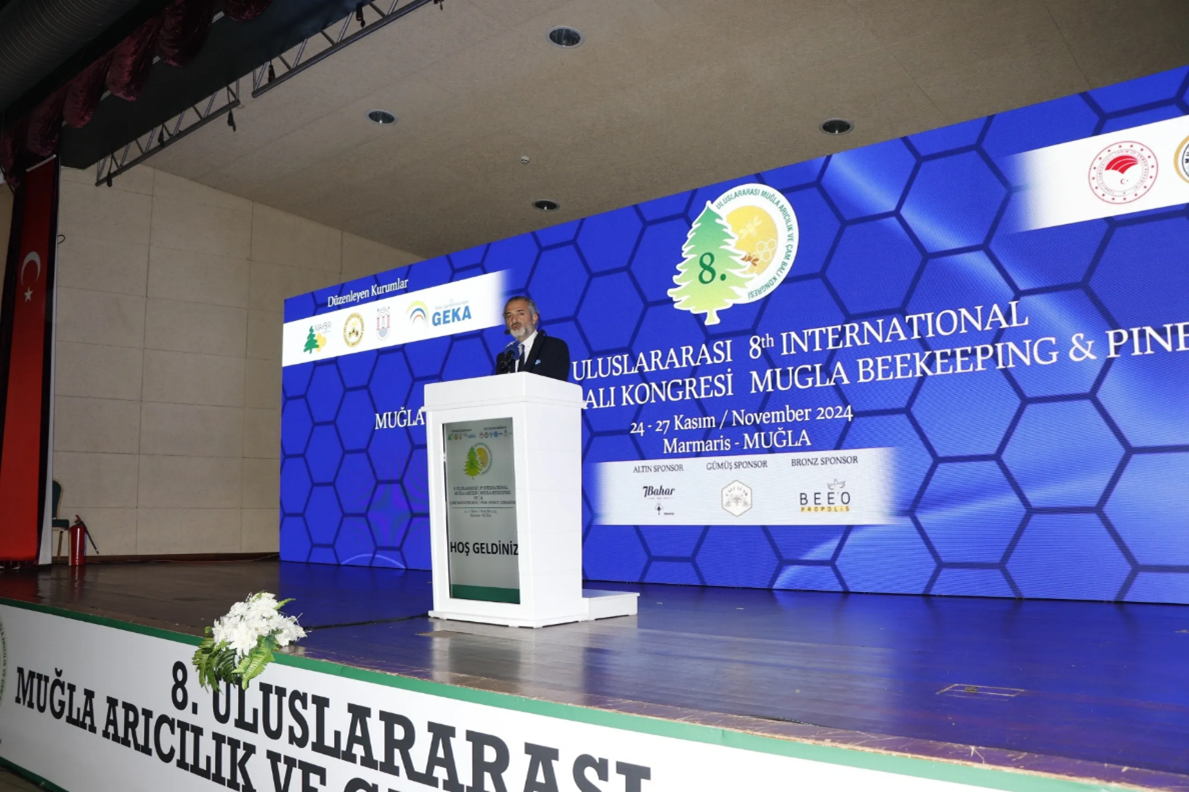 MAYBİR